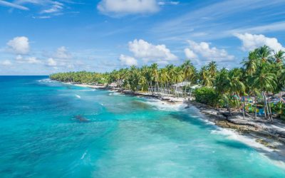 Image for Tropical beach getaway with blue ocean and palm trees - Edgewood Travel