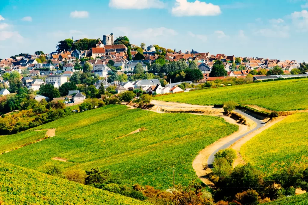 Scenic French village in the Loire Valley surrounded by green vineyards and rolling hills.